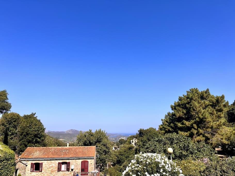 T2 Village * Oletta (Corsica)